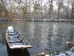 Boot mit Schwan Winter.html